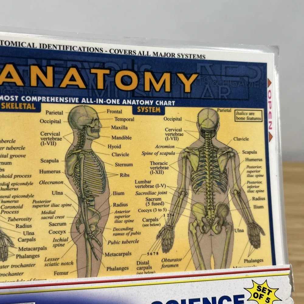 BarCharts QuickStudy Science Charts Set of 5 Anatomy Chemistry Physics Astronomy